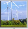 /album/photo-gallery-canvas-uri/decoratiuni-de-perete-canvas-lc-0792-jpg/
